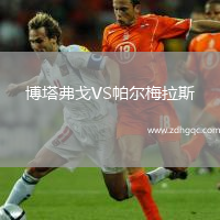 博塔弗戈VS帕爾梅拉斯