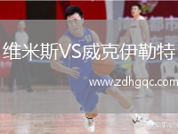 維米斯VS威克伊勒特