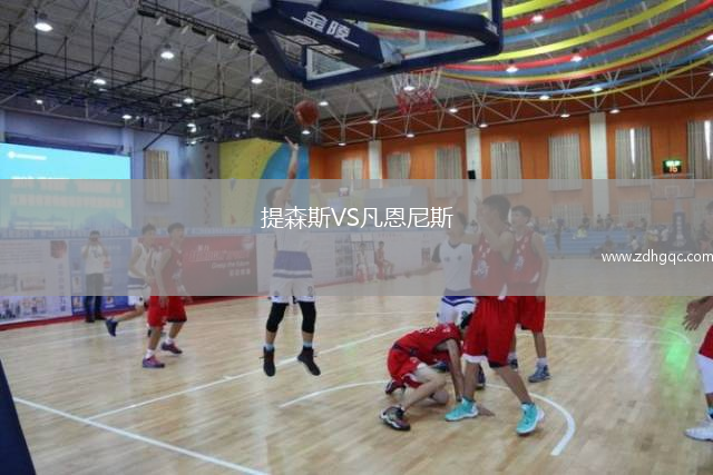 提森斯VS凡恩尼斯
