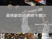 桑德豪森VS黑森卡塞爾