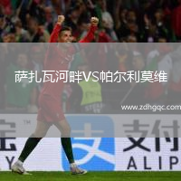 薩扎瓦河畔VS帕爾利莫維