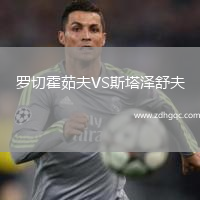 羅切霍茹夫VS斯塔澤舒夫