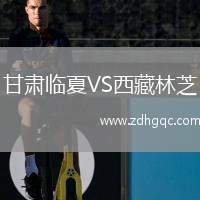 甘肅臨夏VS西藏林芝