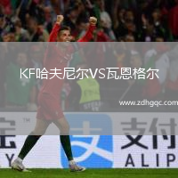 KF哈夫尼爾VS瓦恩格爾
