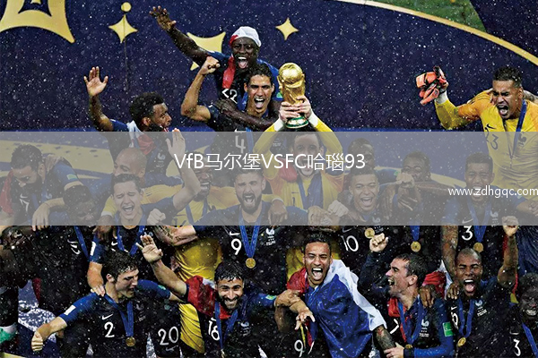 VfB馬爾堡VSFC哈瑙93