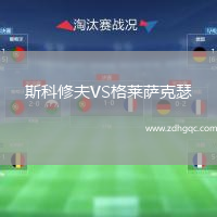 斯科修夫VS格萊薩克瑟