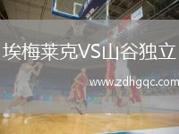 埃梅萊克VS山谷獨(dú)立