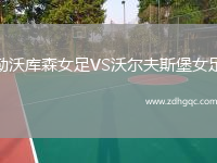 勒沃庫(kù)森女足VS沃爾夫斯堡女足