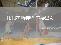 比門霍斯特VS布德里奇