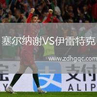塞爾納謝VS伊雷特克
