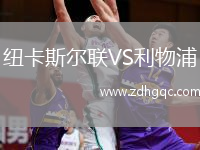 紐卡斯?fàn)柭?lián)VS利物浦