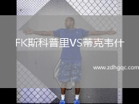 FK斯科普里VS蒂克韋什