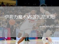 伊哥力魔術VS茨瓦尼太陽