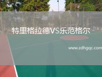 特里格拉德VS樂范格爾