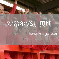 沙希爾VS加貝斯