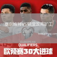 塞爾維特VS頓涅茨克礦工