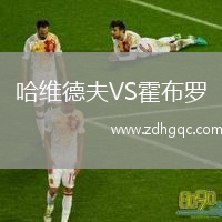 哈維德夫VS霍布羅