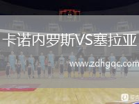 卡諾內(nèi)羅斯VS塞拉亞