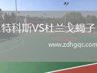 特科斯VS杜蘭戈蝎子