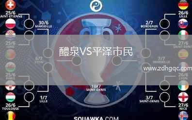 醴泉VS平澤市民