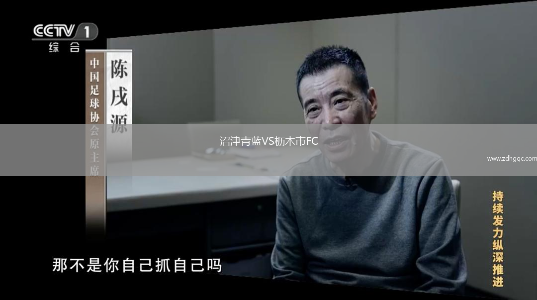 沼津青藍(lán)VS櫪木市FC