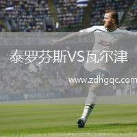泰羅芬斯VS瓦爾津