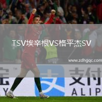 TSV埃辛根VS格平杰SV