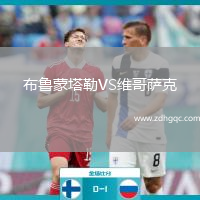 布魯蒙塔勒VS維哥薩克