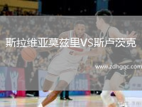 斯拉維亞莫茲里VS斯盧茨克