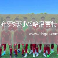 布羅姆利VS哈洛賈特