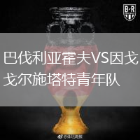 巴伐利亞霍夫VS因戈爾施塔特青年隊