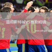 溫徹斯特城VS費勒姆鎮(zhèn)