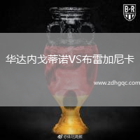 華達內(nèi)戈蒂諾VS布雷加尼卡