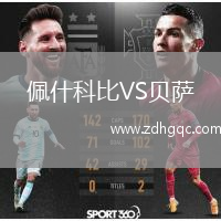 佩什科比VS貝薩
