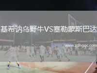 基希訥烏野牛VS塞勒蒙斯巴達(dá)