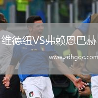 維德紐VS弗賴恩巴赫