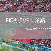 FK秋明VS韋萊斯