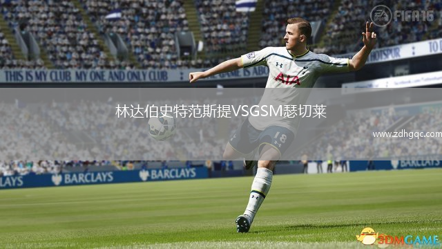 林達(dá)伯史特范斯提VSGSM瑟切萊