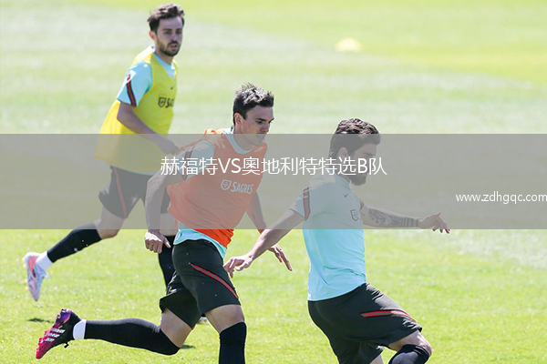 赫福特VS奧地利特特選B隊