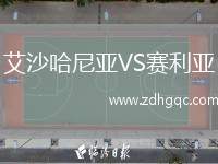 艾沙哈尼亞VS賽利亞