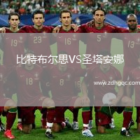 比特布爾思VS圣塔安娜