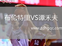 布倫特里VS譚禾夫