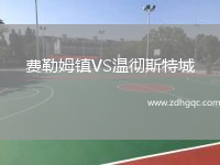 費(fèi)勒姆鎮(zhèn)VS溫徹斯特城