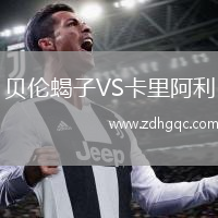 貝倫蝎子VS卡里阿利