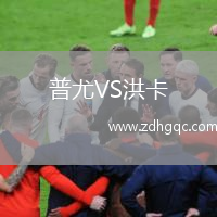 普尤VS洪卡