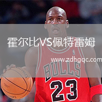 霍爾比VS佩特雷姆