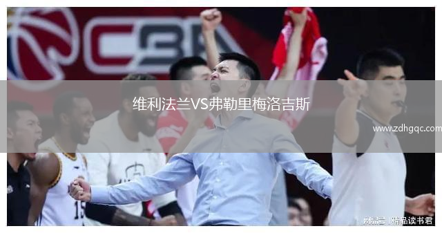 維利法蘭VS弗勒里梅洛吉斯