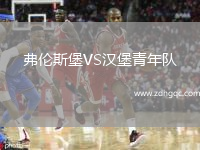 弗倫斯堡VS漢堡青年隊