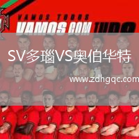 SV多瑙VS奧伯華特
