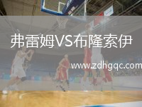 弗雷姆VS布隆索伊